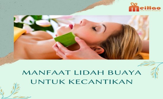 Manfaat Lidah Buaya untuk Kecantikan