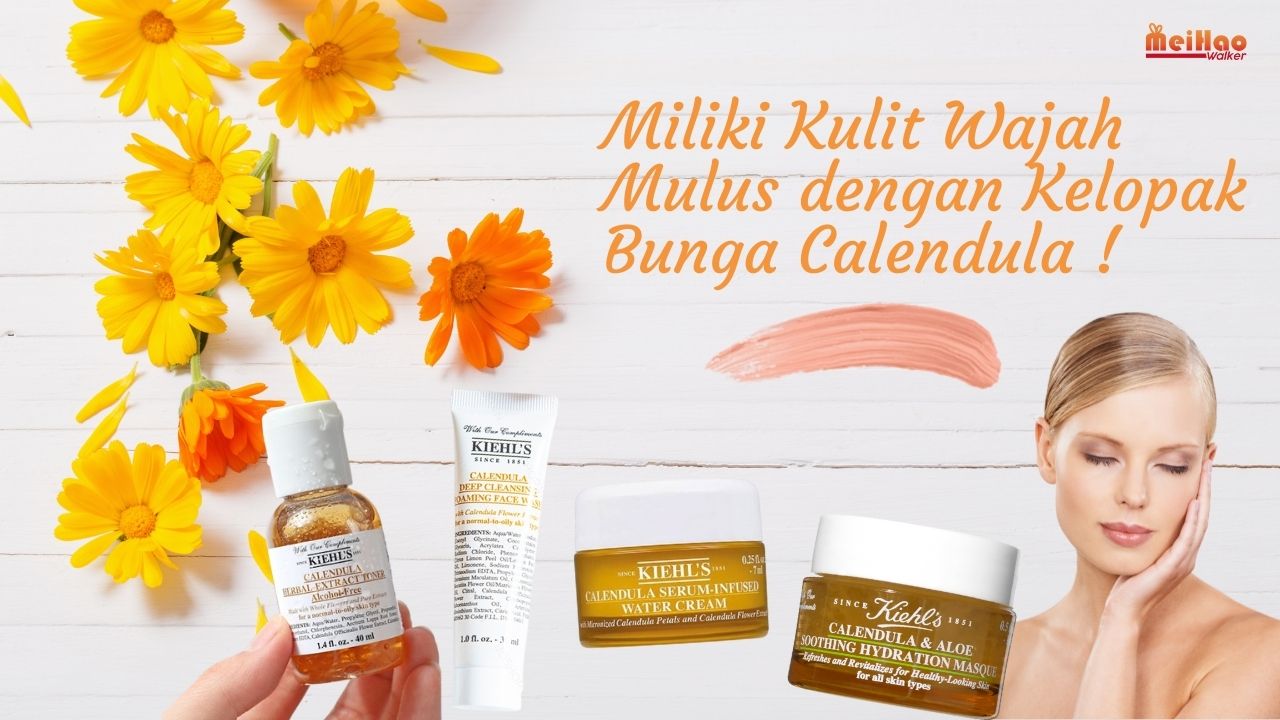 Miliki Kulit Wajah Mulus dengan Kelopak Bunga Calendula !