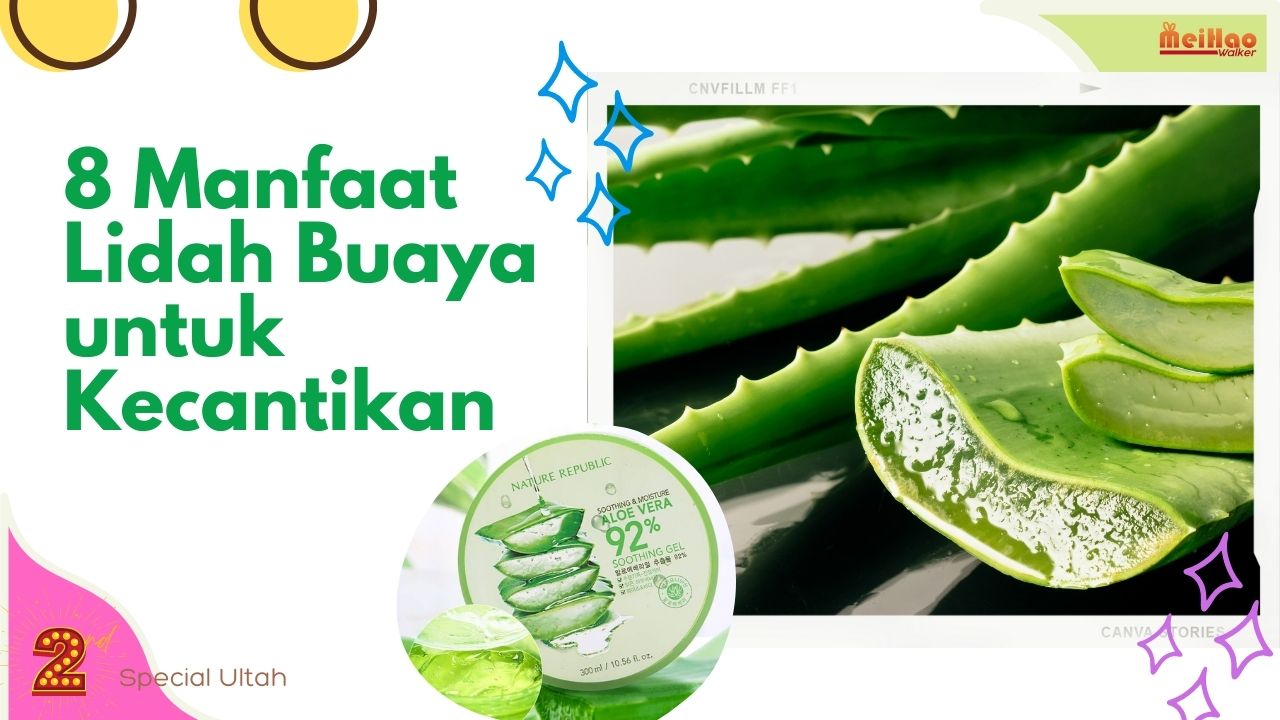 Manfaat Lidah Buaya untuk Kecantikan