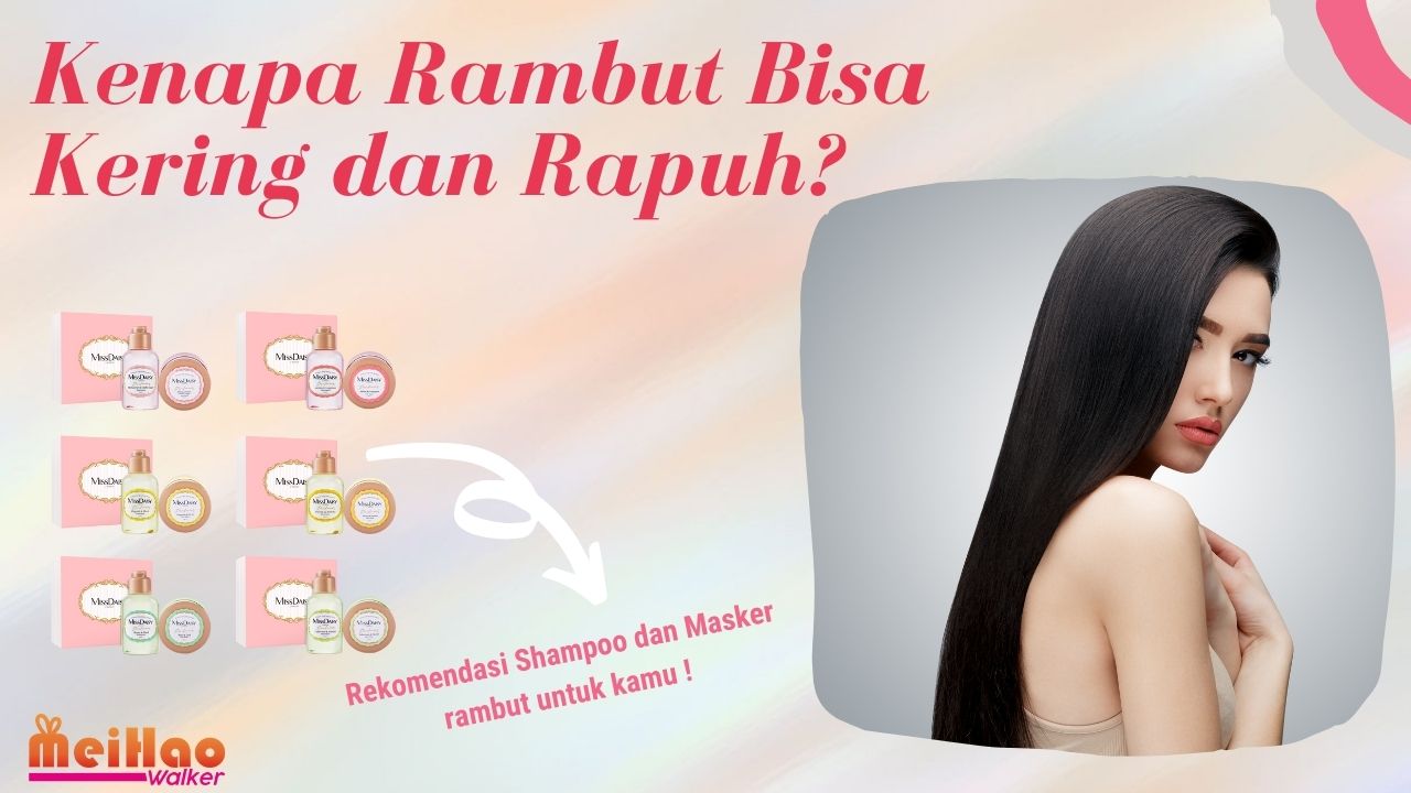 Kenapa Rambut Bisa Kering dan Rapuh? Apa Solusinya!?